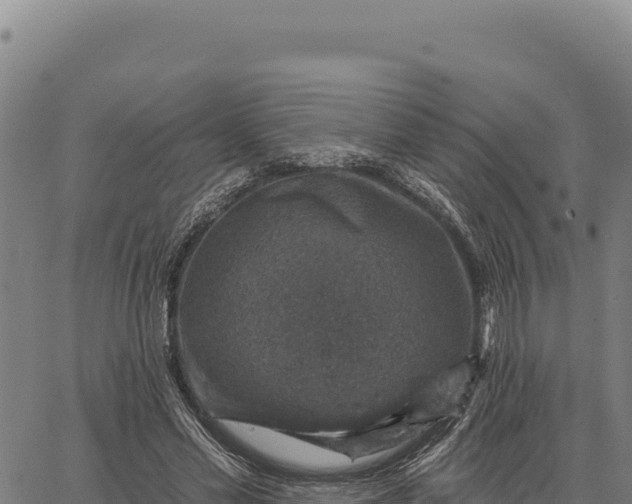 X0000066510589200603311731