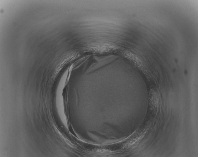 X0000066510590200603311731