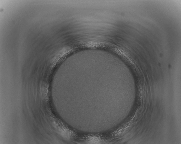 X0000066510592200603311731