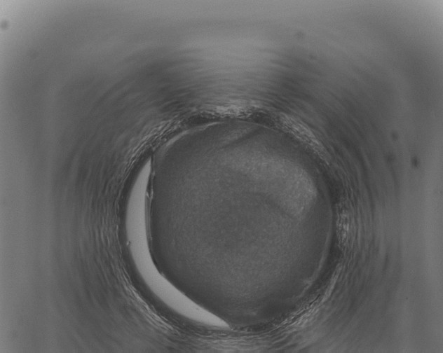 X0000066510593200603311731