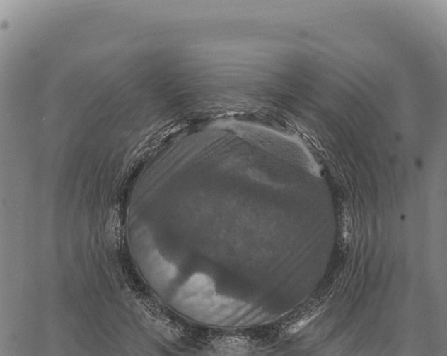 X0000066510594200603311731