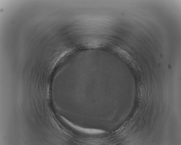 X0000066510596200603311731