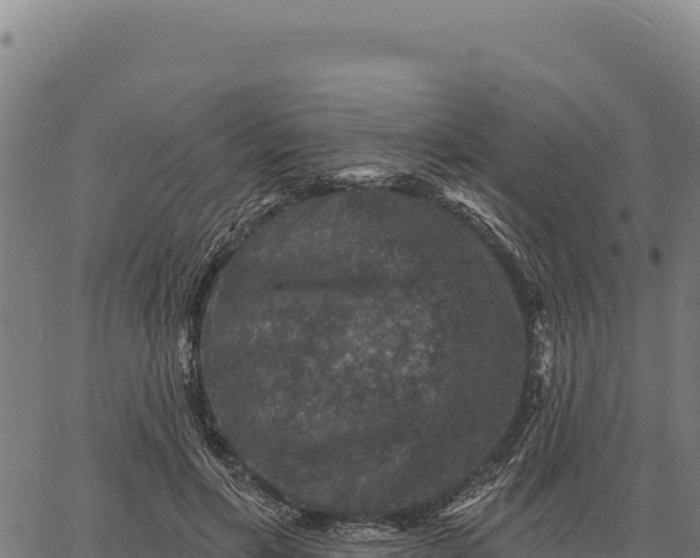 X0000066510597200603311731