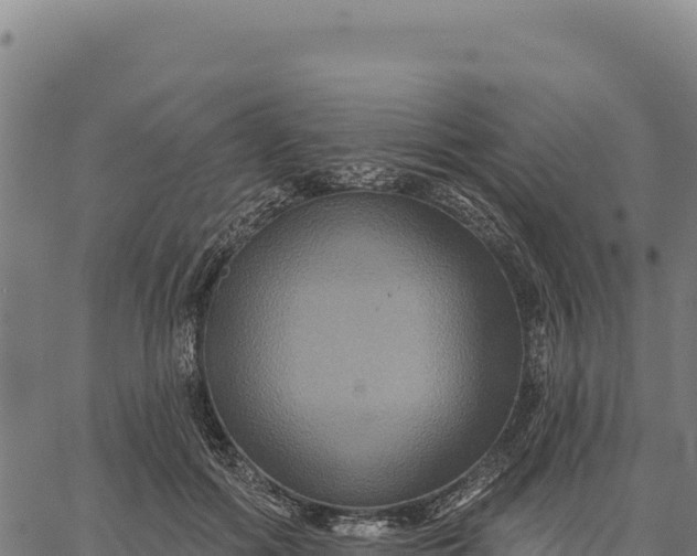 X0000066510602200603311731