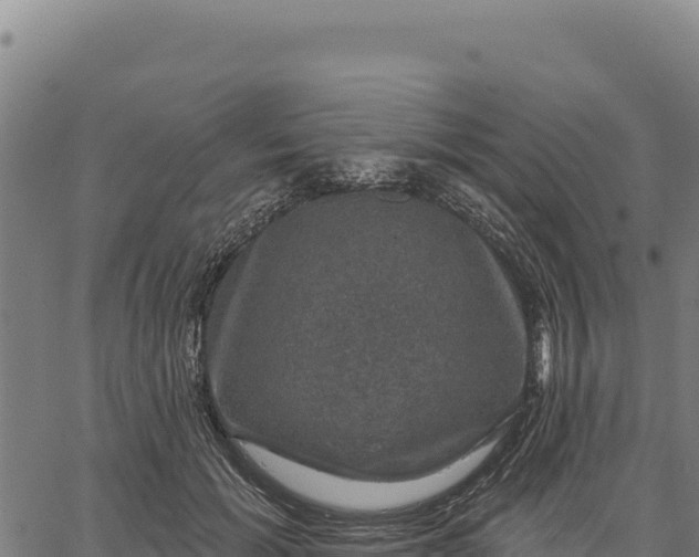 X0000066510605200603311731