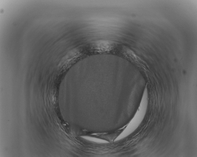 X0000066510608200603311731