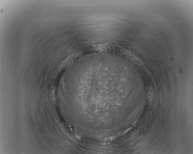 X0000066510611200603311731