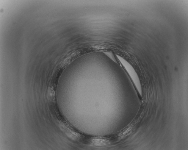 X0000066510614200603311731