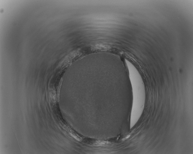 X0000066510617200603311731