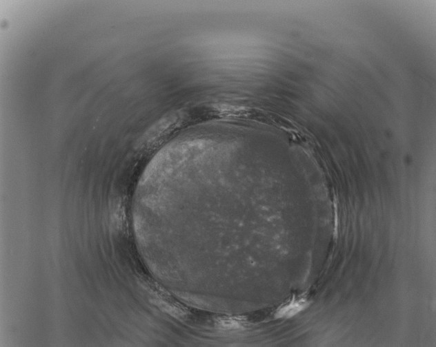 X0000066510618200603311731