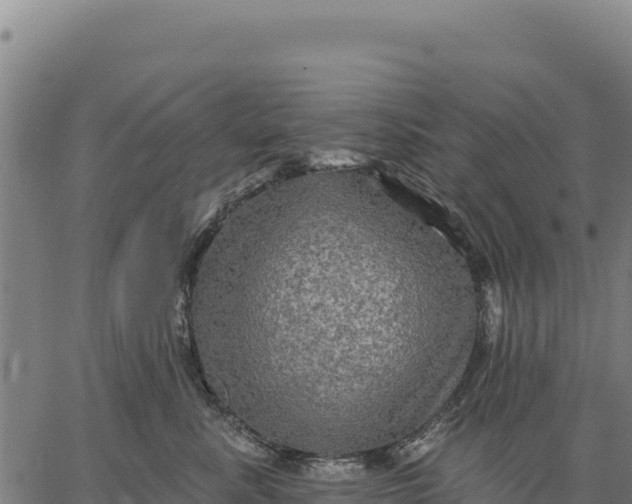 X0000066510619200603311731