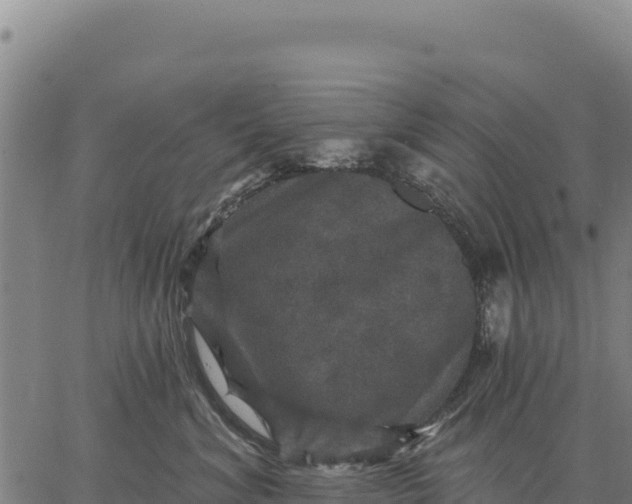 X0000066510620200603311731