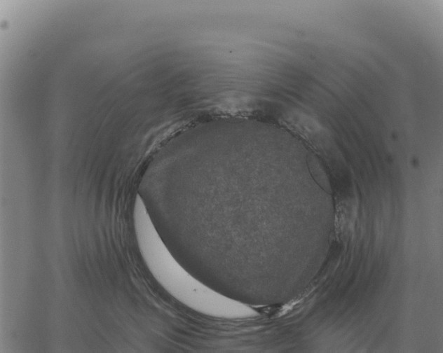 X0000066510623200603311731