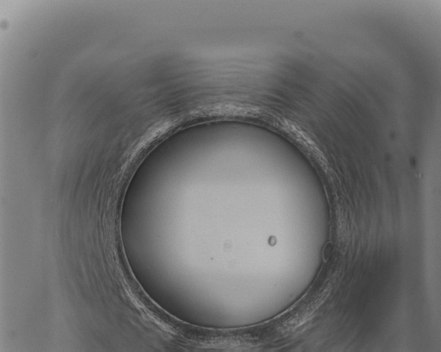 X0000066510625200603311730