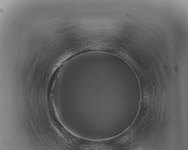 X0000066510626200603311730