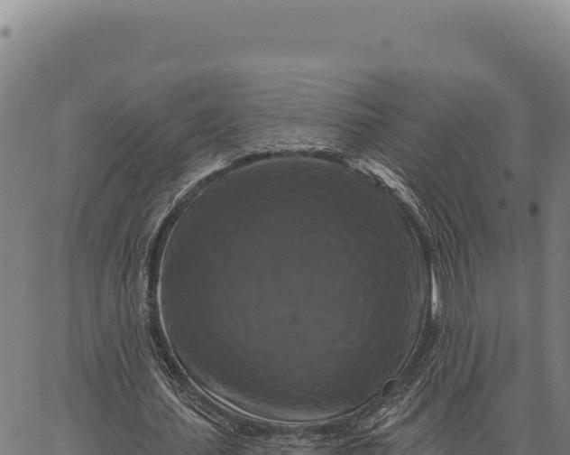 X0000066510627200603311730