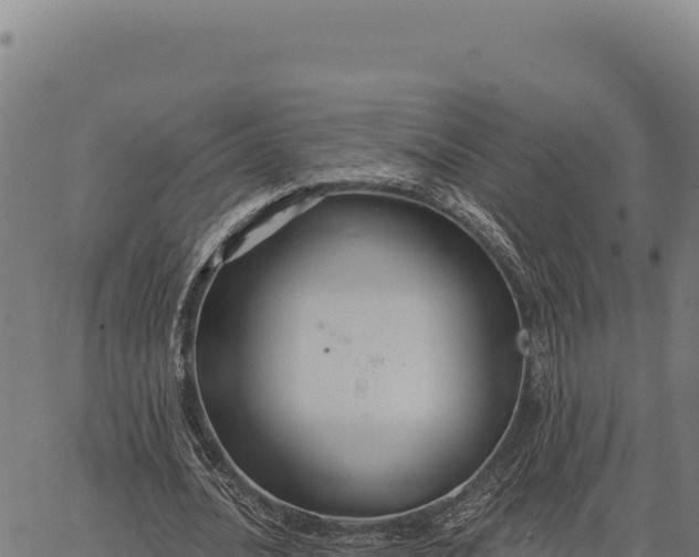 X0000066510628200603311730