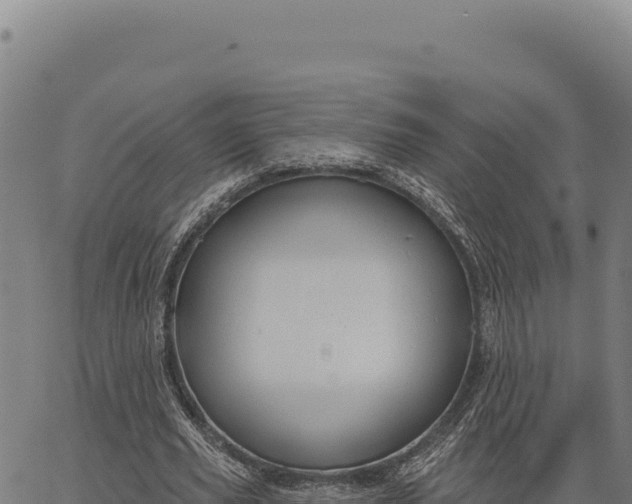 X0000066510629200603311730