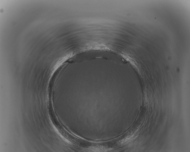 X0000066510630200603311730