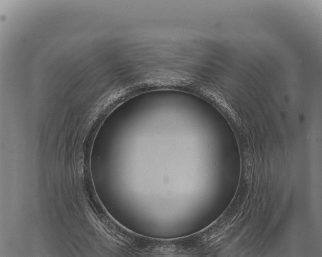 X0000066510631200603311730