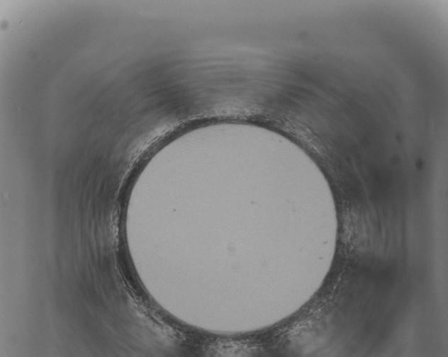 X0000066510632200603311730