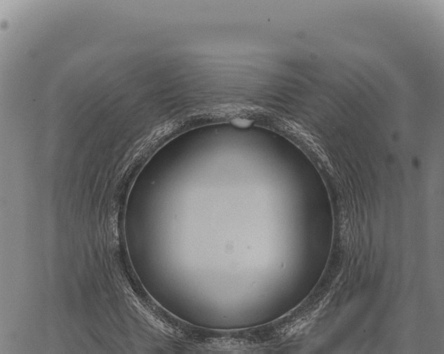 X0000066510633200603311730