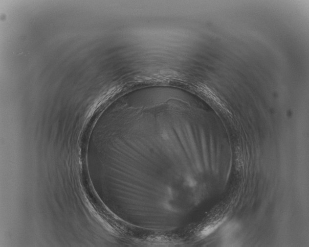 X0000066510634200603311730