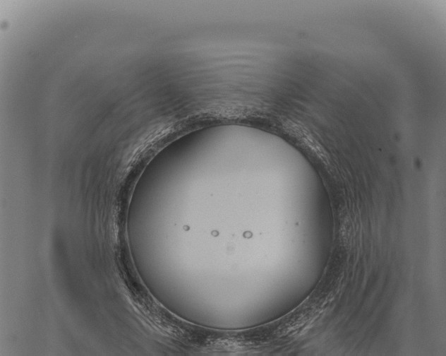 X0000066510635200603311730