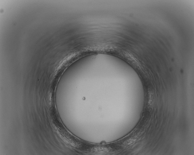 X0000066510636200603311730