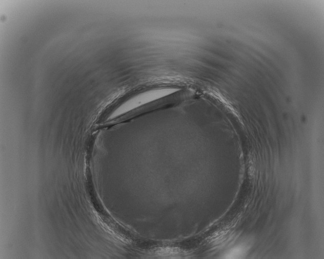 X0000066510637200603311730