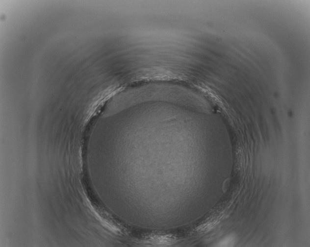 X0000066510638200603311730