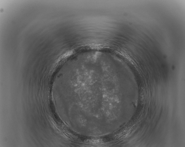 X0000066510639200603311730