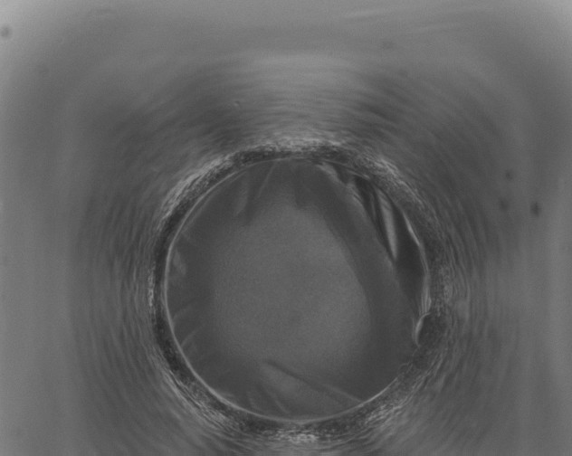 X0000066510640200603311730