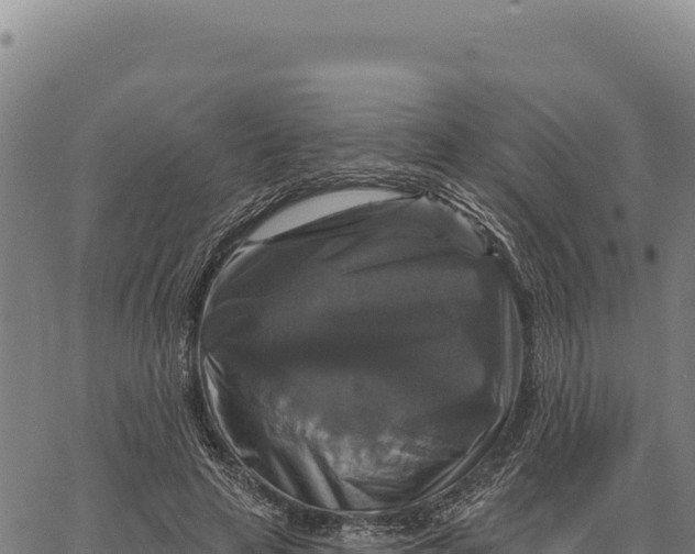 X0000066510641200603311730