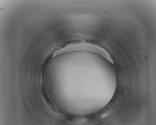 X0000066510642200603311730