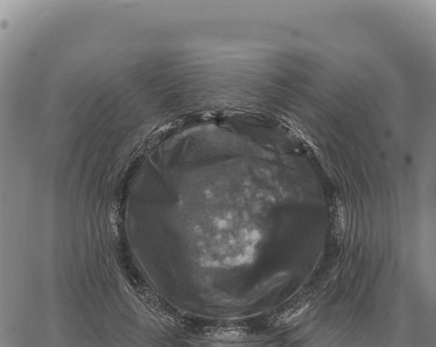 X0000066510643200603311730