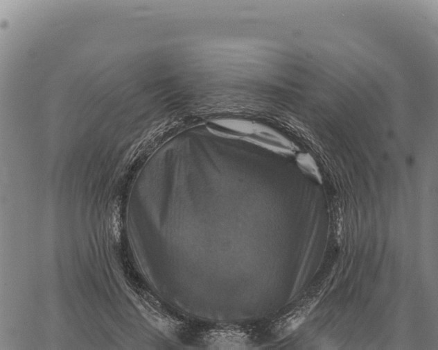 X0000066510644200603311730