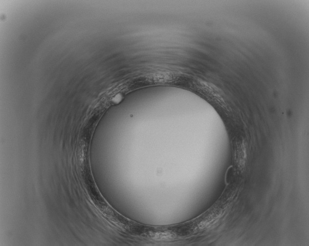 X0000066510645200603311730