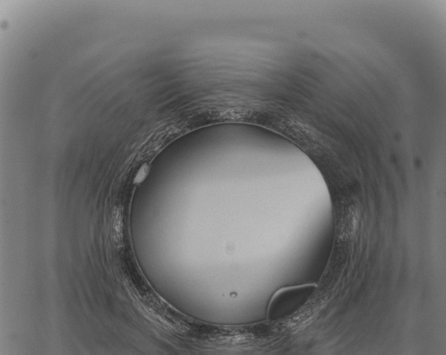 X0000066510646200603311730