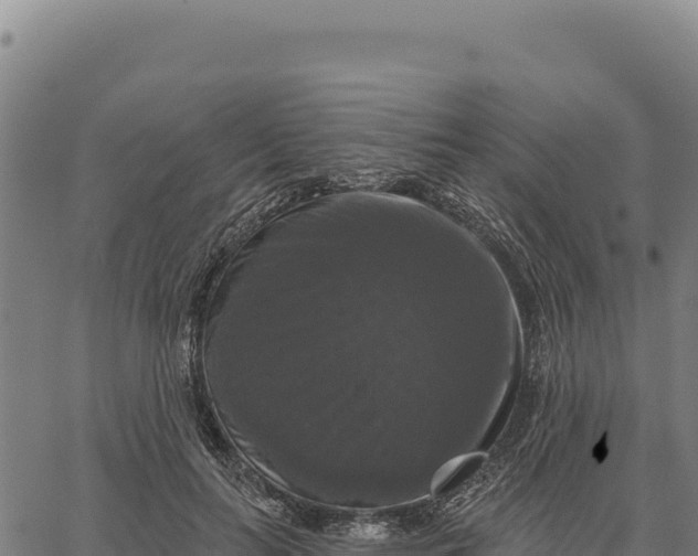 X0000066510647200603311730