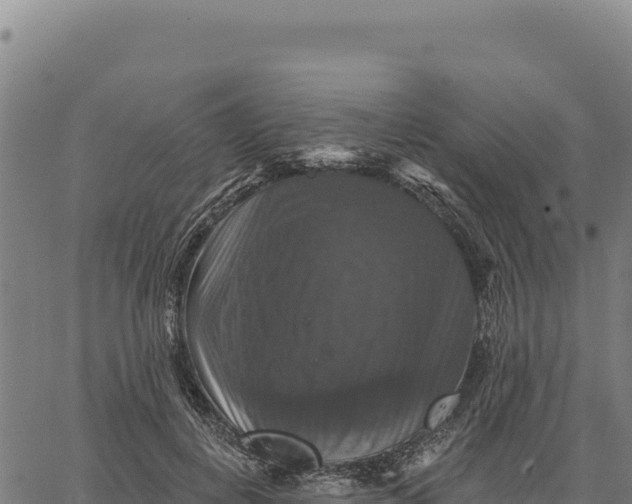 X0000066510648200603311730