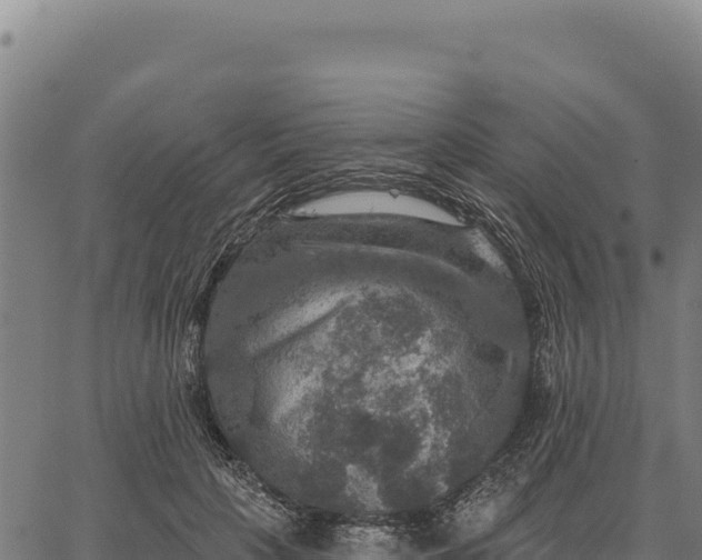 X0000066510649200603311730