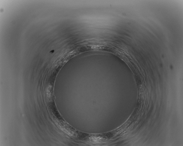 X0000066510650200603311730