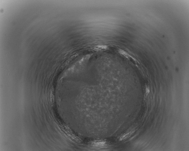 X0000066510651200603311730