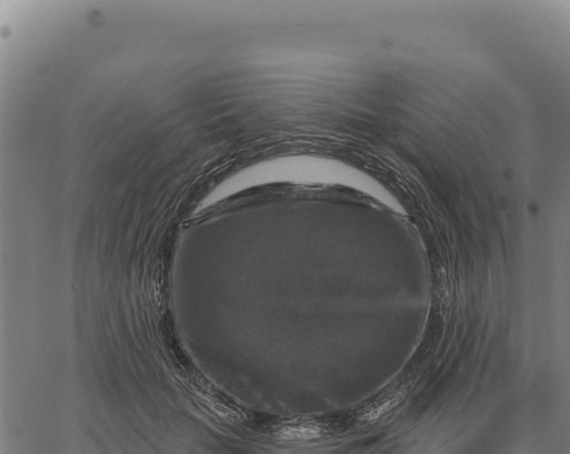 X0000066510653200603311731