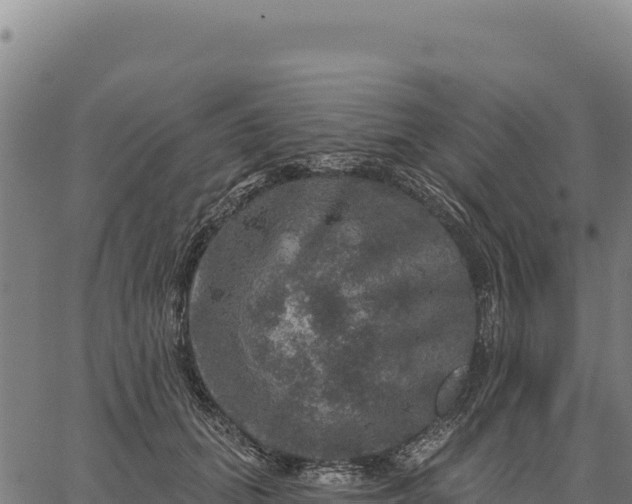 X0000066510655200603311731