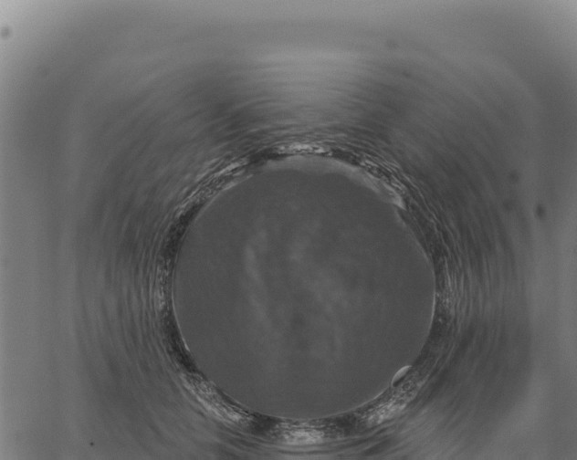 X0000066510658200603311731