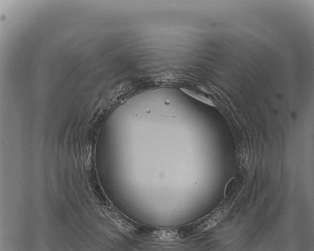 X0000066510660200603311731