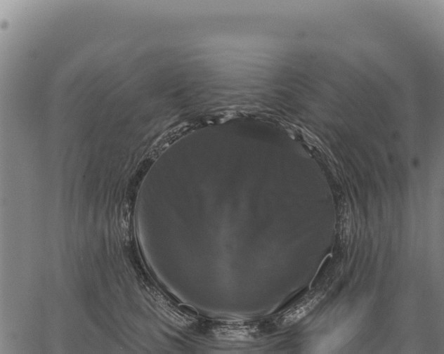 X0000066510661200603311731