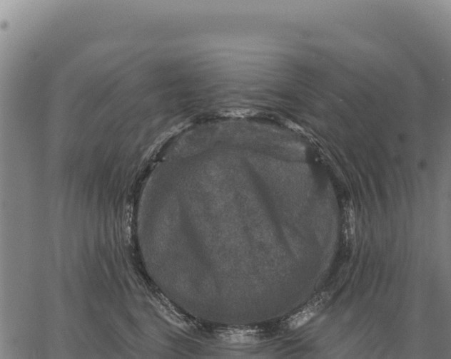 X0000066510664200603311731